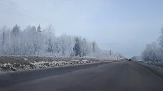 Летом начнется климатический кошмар: Гидрометцентр рассказал, к чему готовиться