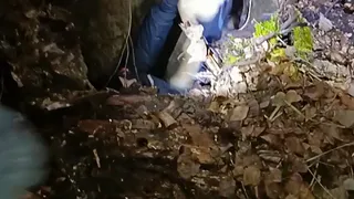 В Челябинской области полицейские спасли провалившуюся в колодец бедную собаку