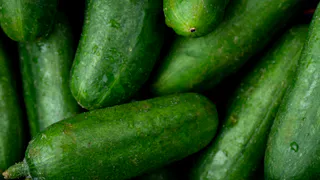 Огурцы — рассадой или в грунт? Бывалая огородница раскрыла российским дачникам секрет большого урожая