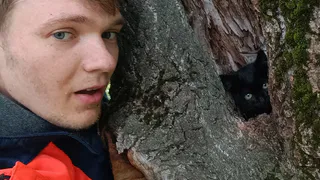 Рязанские волонтёры-медики за два дня спасли трёх котят