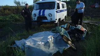 Под Брянском загорелся лес: виновных ищут