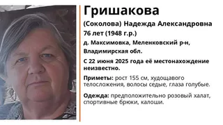 В Меленковском районе ищут пропавшую в лесу 76-летнюю женщину в розовом халате