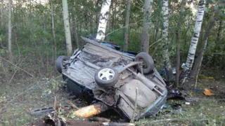 В ДТП под Рязанью автомобиль перевернулся и врезался в дерево, есть погибшие