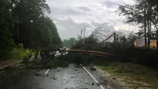 Прогноз на среду: в Рязанской области ожидается гроза