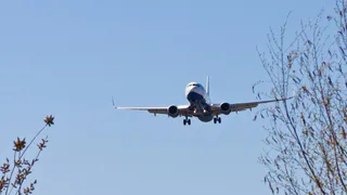 График рейсов готов: до 20 апреля в Россию вернутся туристы из 8 стран