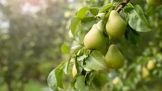 Приметы и запреты на 10 августа: сделайте это, чтобы ребенок лучше учился