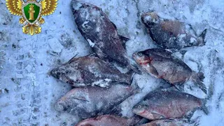 Прокуратура направила в суд дело о незаконном лове рыбы на водохранилище в Челябинской области