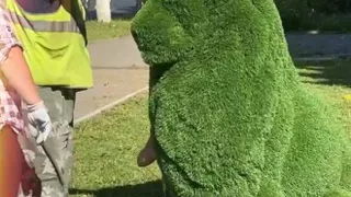 У здания мэрии Владимира поселили льва