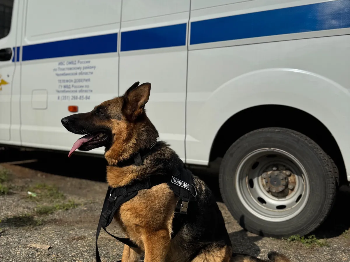 Служебная собака помогла раскрыть убийство в Челябинской области за 10 минут