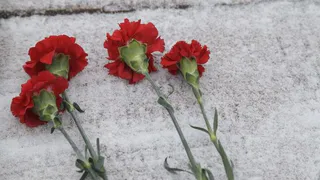 В ходе СВО погиб военнослужащий из Коми