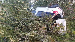 Под Спасском Shkoda вылетела в кювет. Пострадало трое детей