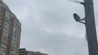 За месяц в области с помощью «Безопасного города» раскрыли 16 преступлений