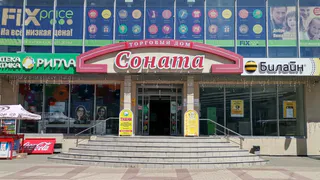 ТЦ «Соната» в центре Рязани выставлен на продажу за 125 млн рублей