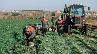 В Чувашии поддержат развитие перспективных направлений аграрного бизнеса