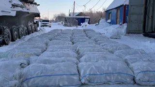 Житель Коми наказан за незаконную торговлю рыбой: изъято более 3,7 тонн