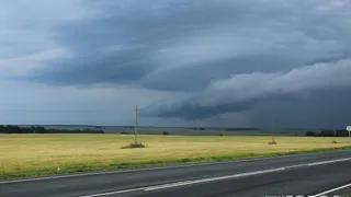 4 августа в Рязани ожидаются грозы