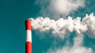 В мэрии создадут рабочую группу по качеству воздуха в Песочне