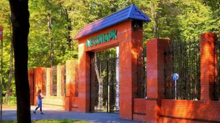 В Рязани приступили к благоустройству Лесопарка