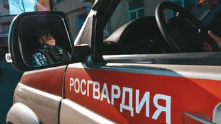 В Коми четверо мужчин и девушка устроили драку и были задержаны