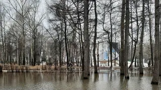 В Рязани парк Гагарина затопило