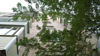 Смерть младенца под Рязанью: все произошло на глазах у соседей