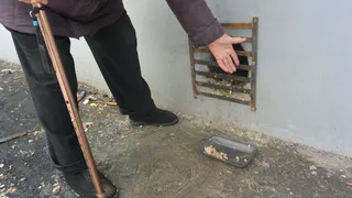 В Рязани замуровали в подвале бездомных кошек