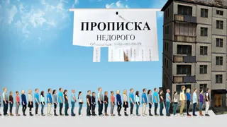Во Владимирской области выявили 3 квартиры с нелегалами