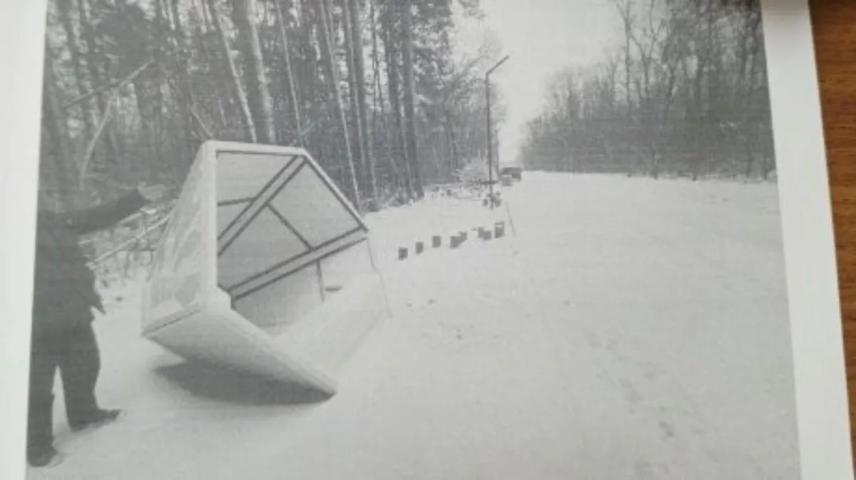Двоих жителей Сердобска наказали за порчу арт-объектов в местном сквере