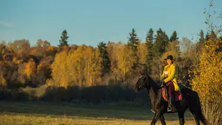 В Муроме директор конного центра заплатила штраф за падение ребенка с лошади