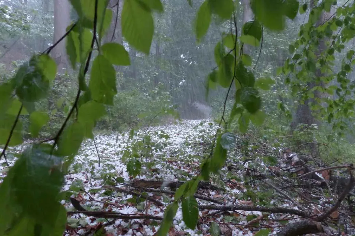 Москву залило месячной нормой осадков за одну ночь