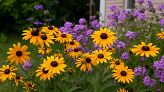 7 эффектных многолетников для вашего сада - цветут все лето и до заморозков: уход минимальный - посадил и забыл