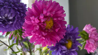 Устали от цветов и конфет: учителя в соцсетях рассказали, какие подарки хотят получить на День учителя