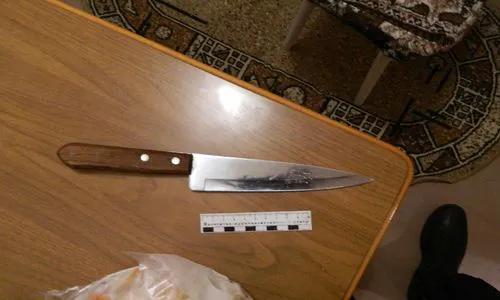 Ножом в сердце: нижнекамка убила своего мужчину из-за его ревности
