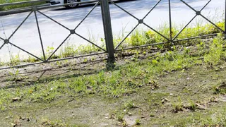 В Бежицком районе города Брянска произошло ДТП