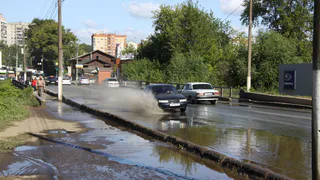 Тепло, но дождливо: погода в Рязани на неделю