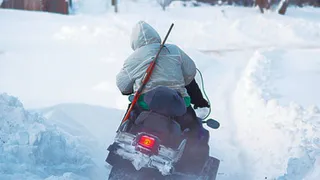 Севских браконьеров ждёт суд за убийство 11 лисиц и 1 косули