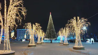 На Новый год рязанцев ждет настоящая русская зима с морозом и снегом