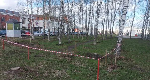 20 апреля во Владимире проходит общегородской субботник