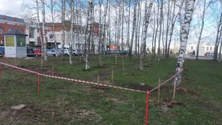 20 апреля во Владимире проходит общегородской субботник