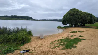 В Александрове расследуют гибель женщины в Дичковском озере