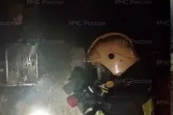 Двое детей пострадали при пожаре на улице Грибоедова в Коврове