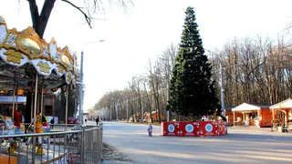 Официально: 31 декабря в Рязанской области объявили выходным днем