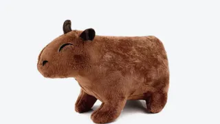 Челябинцы влюбились в капибар: спрос на игрушки с изображением этих грызунов вырос на 649%