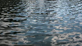 На озере в Навле утонул 21-летний парень