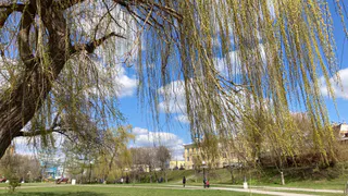 18 апреля в Рязанской области ожидается потепление до +18 градусов