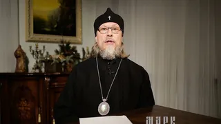 Митрополит Марк объяснил позицию РПЦ по сбору биоданных гражданами