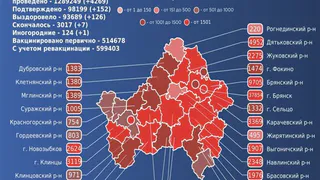 Семь брянцев и один иногородний пациент умерли от COVID-19 за сутки