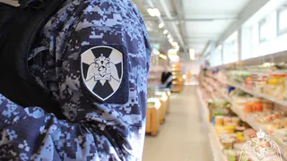 В Сыктывкаре росгвардейцы задержали воришку-гурмана и агрессивную посетительницу