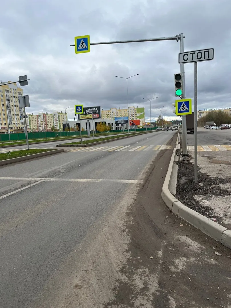 В Нижнекамске на пешеходке сбили молодую женщину