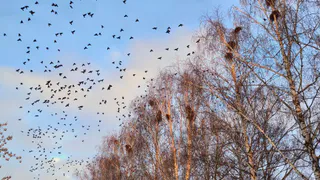 Снежная метель и гололедица: Татарстан готовится к непростым погодным условиям 6 марта